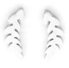 Oorknopjes feather stainless steel - Zilver