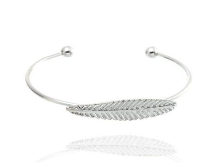 Bangle veer - Zilver