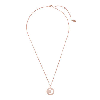 Ketting moon stainless steel - Goud