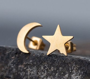 Stainless steel oorbellen star/moon - Goud