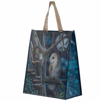 Shopper Fairytale Owl &amp; Fairy - lisa parker