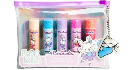 Lipbalm set  5 stuks in etui 
