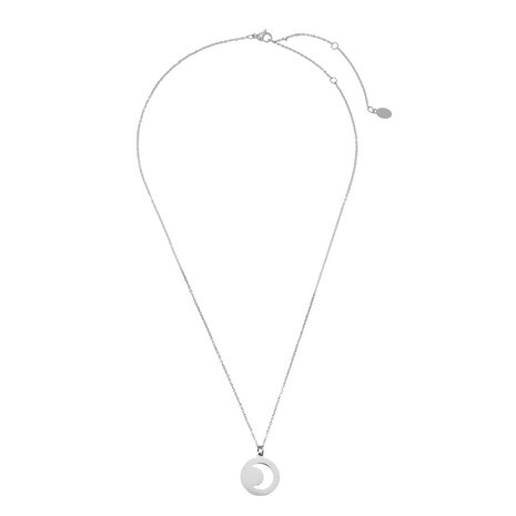 Ketting moon stainless steel - zilver