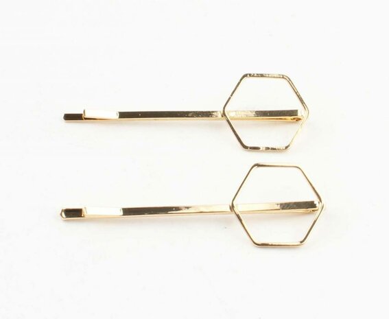 Set schuifspeldjes hexagon/goud