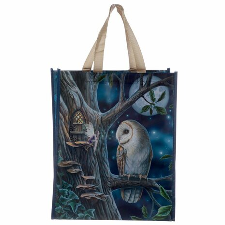 Shopper Fairytale Owl & Fairy - lisa parker