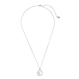 Ketting moon stainless steel - zilver