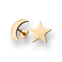 Stainless steel oorbellen star/moon - Goud
